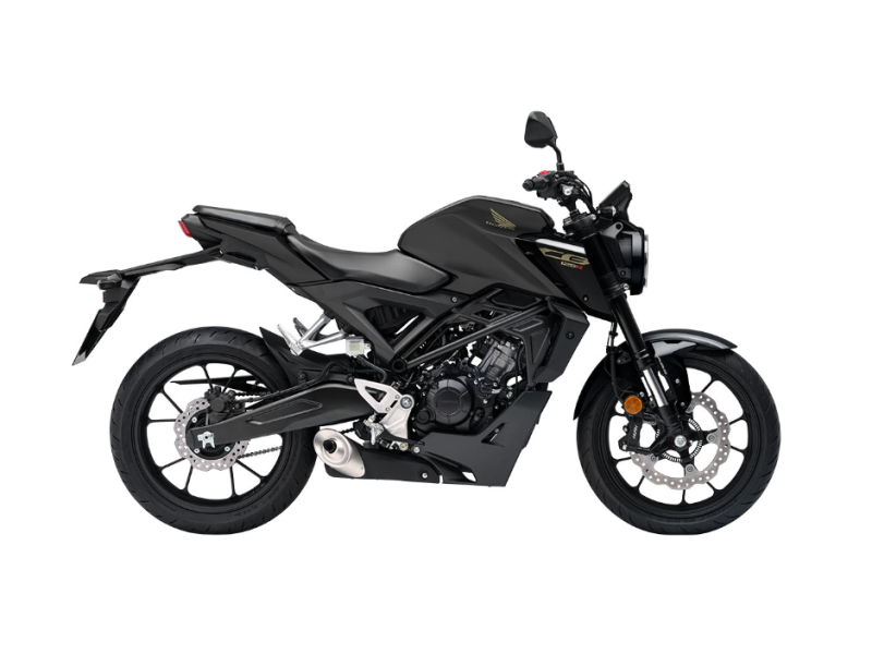 MAT CYNOS GRAY METTALIC 2024 