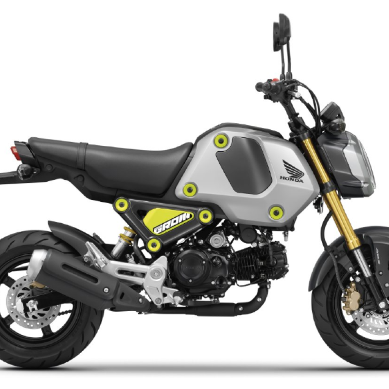 HONDA MOTORCYCLES MSX