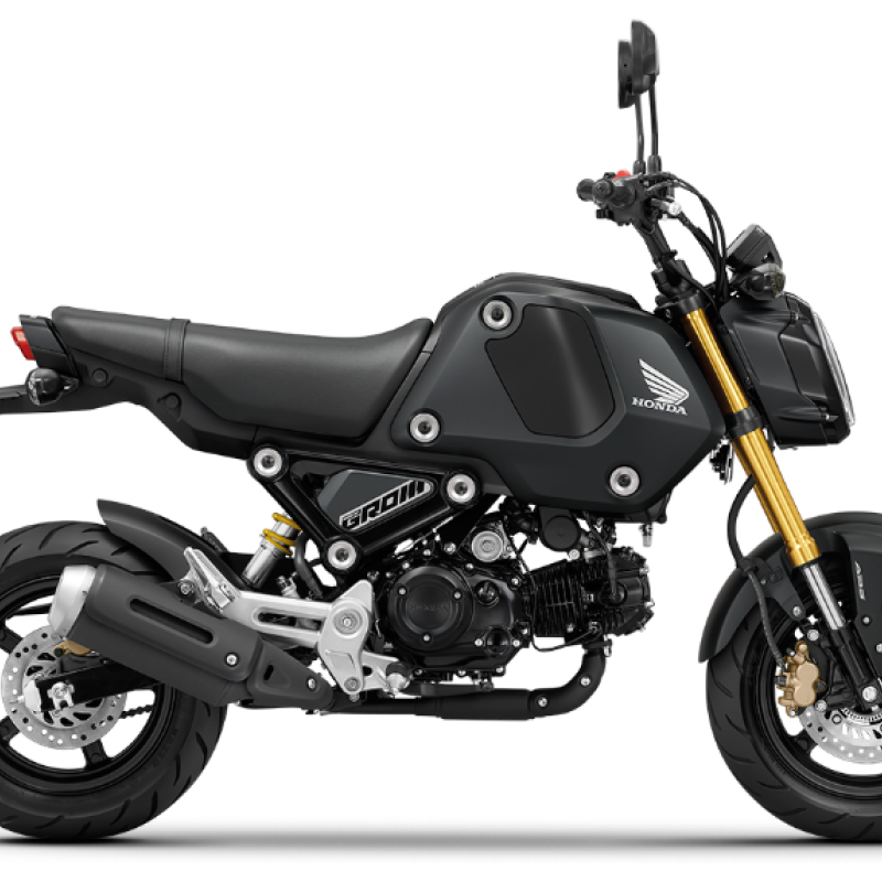 HONDA MOTORCYCLES MSX